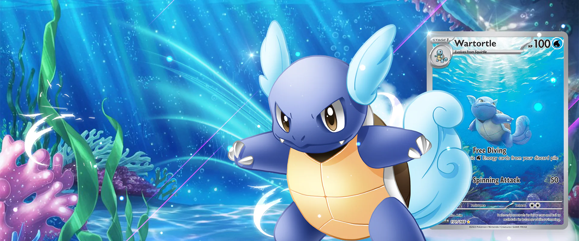 Unleash Your Ultimate Card Collection